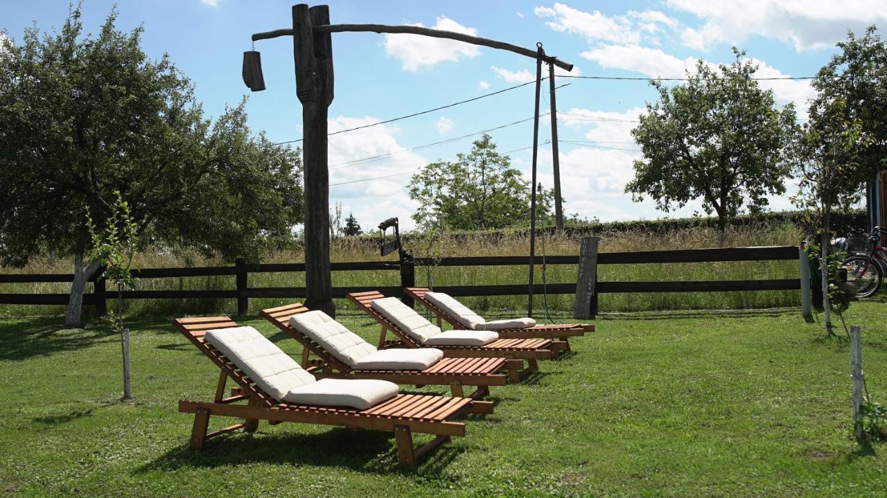 Iz De Maramures Rural Hotel (Adults Only) Surdesti  Extérieur photo